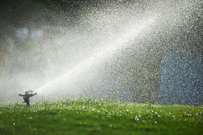 Lawn sprinkler spaying water